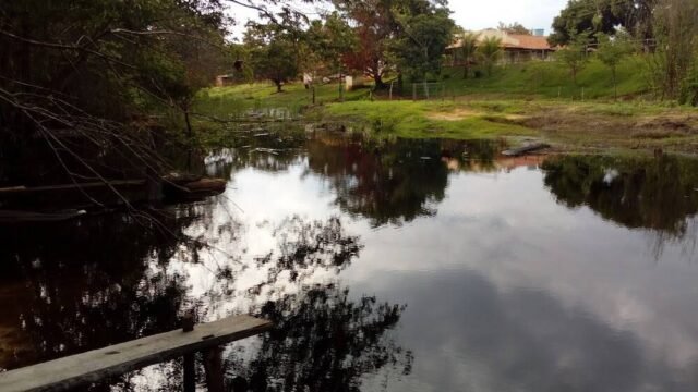 Agropecuária Glineal em Janaúba