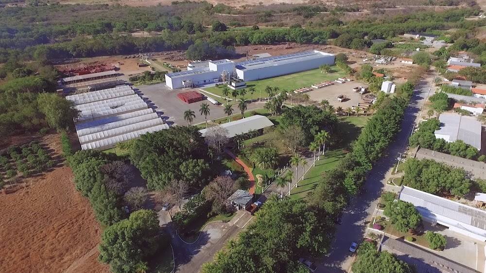 Best Pulp Brasil Marca de Qualidade – Outros Serviços em Janaúba