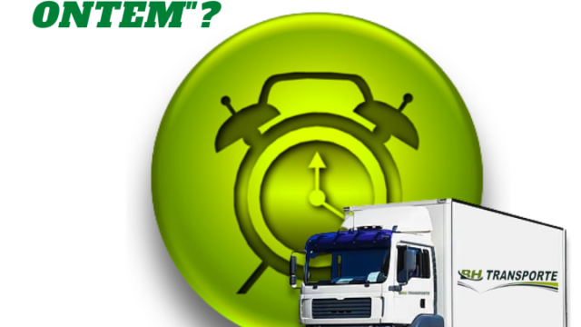 BH Transporte de encomendas e mudanças em Janaúba