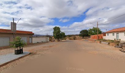 Boi Nelore em Janaúba