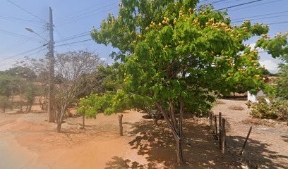 Chacramento próximo frigorífico kmg – Outros Serviços em Janaúba