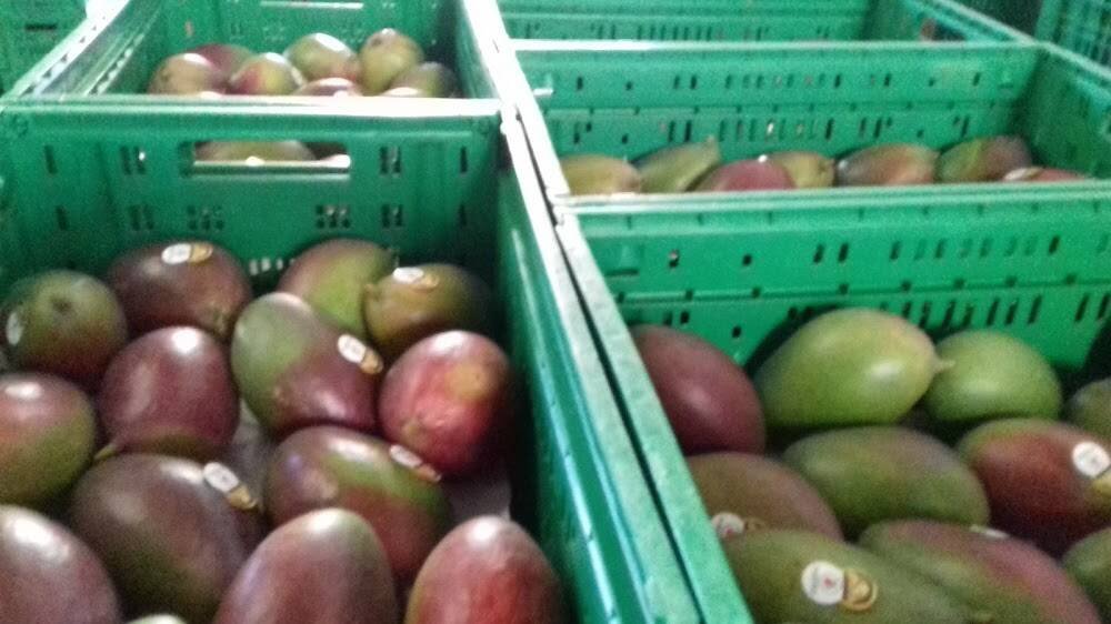 Dosanko Frutas Tropicais – Mercearias e Hortifrúti em Janaúba