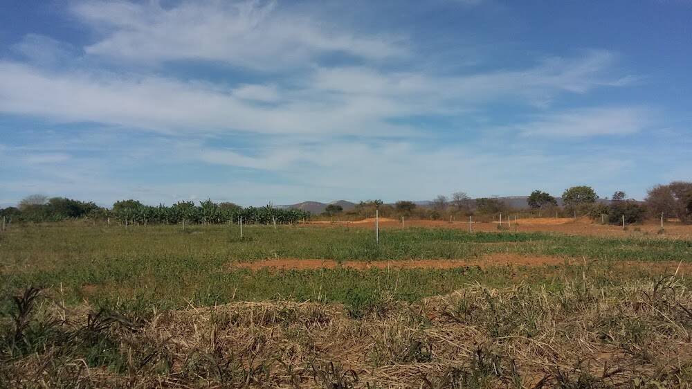 Fazenda Experimental Unimontes Campus Janaúba – Escolas e creches em Janaúba