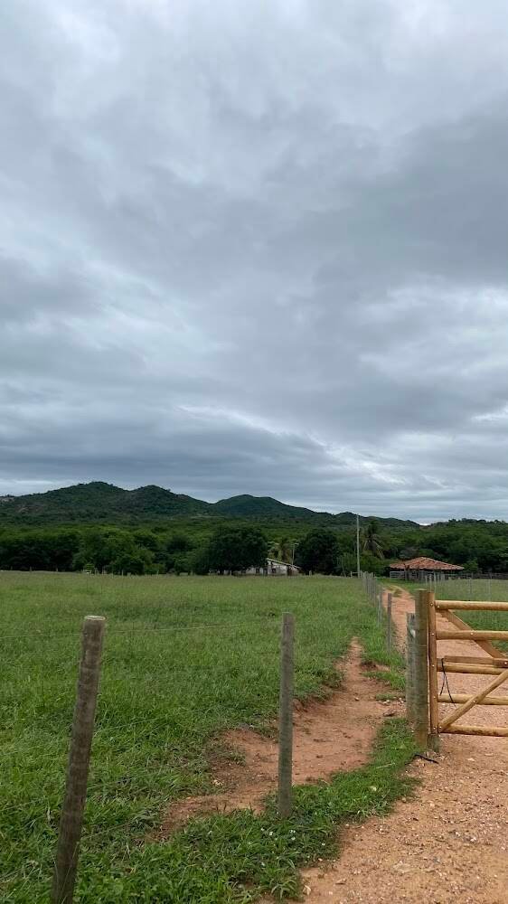 Fazenda Rosqueira – Produtores rurais e sítios em Janaúba