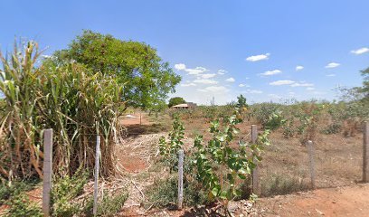FAZENDA SARIEMA em Janaúba