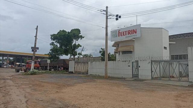 Feltrin Sementes Filial Janaúba em Janaúba