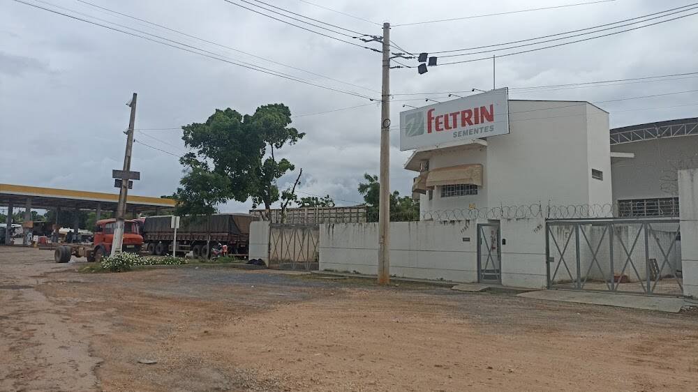 Feltrin Sementes Filial Janaúba – Insumos, adubos e sementes em Janaúba