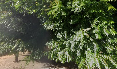 Igreja de Deus Elim – Igrejas e templos em Janaúba