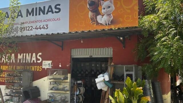 RaÇa Minas em Janaúba