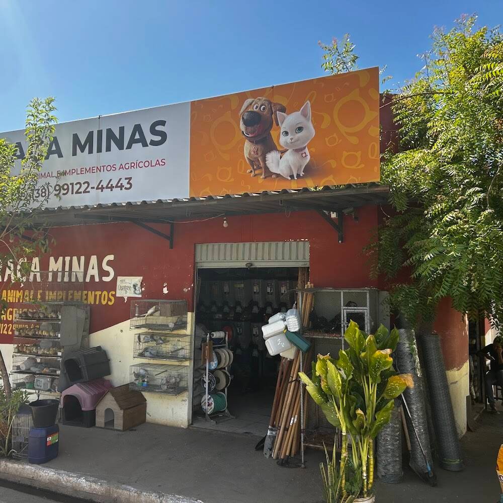 RaÇa Minas – Pet Shops em Janaúba
