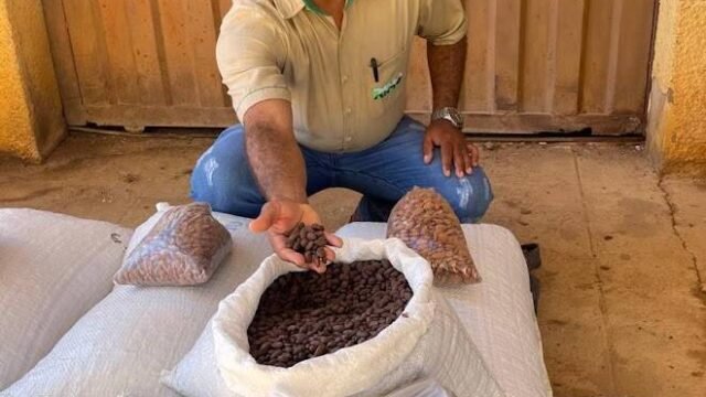 Rimo Agroindustrial LTDA em Janaúba