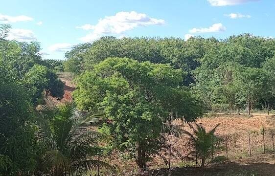 SALATIEL ☘️ em Janaúba