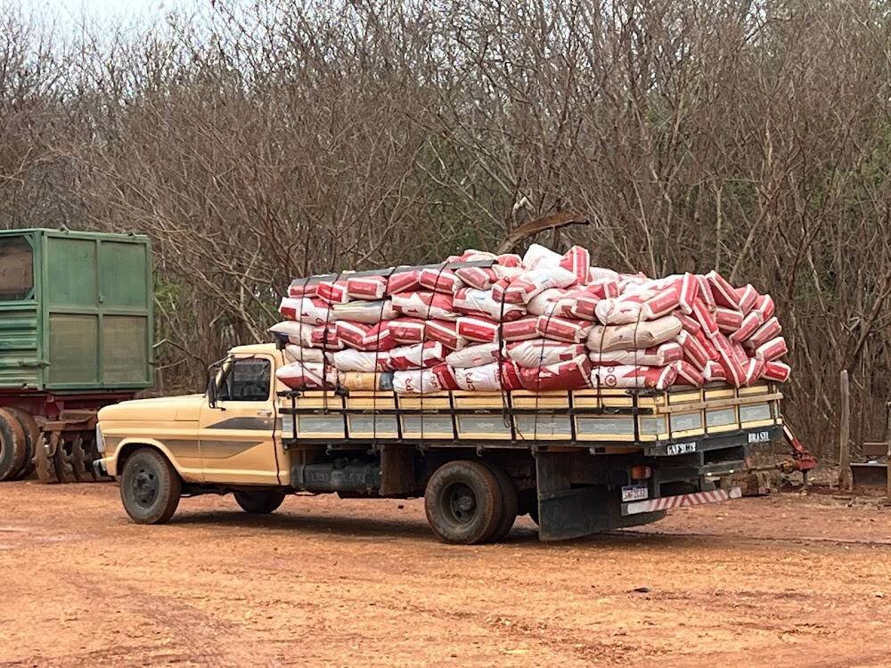 Sementes Germibom – Insumos, adubos e sementes em Janaúba