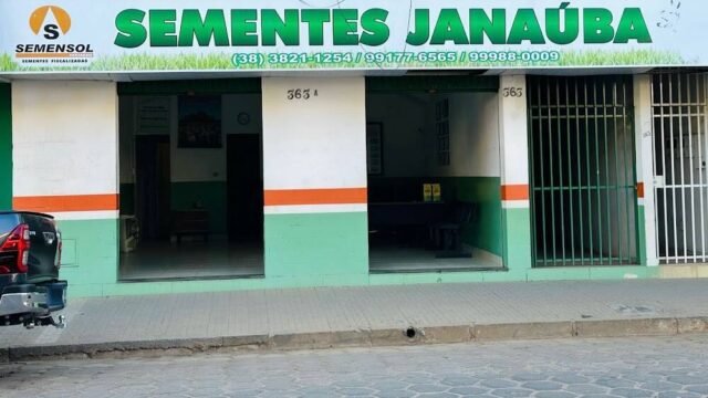 Sementes Janaúba – Sementes para Pastagem em Janaúba
