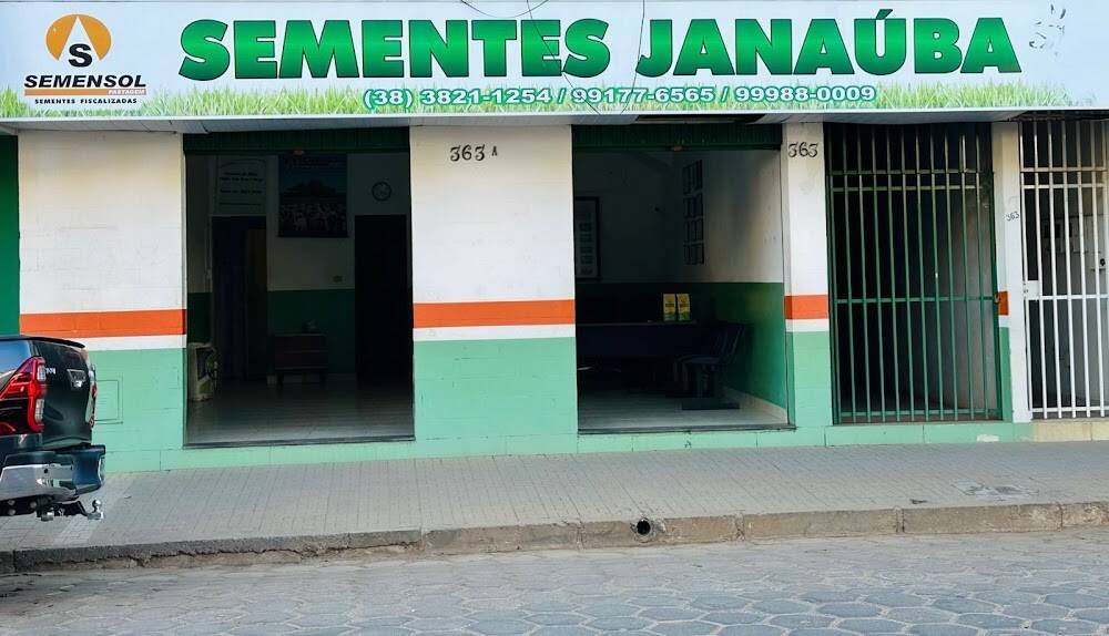 Sementes Janaúba - Sementes para Pastagem – Insumos, adubos e sementes em Janaúba