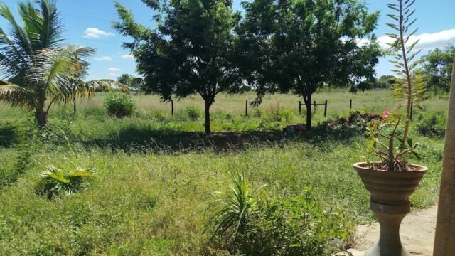 Sítio Bruxeleta em Janaúba