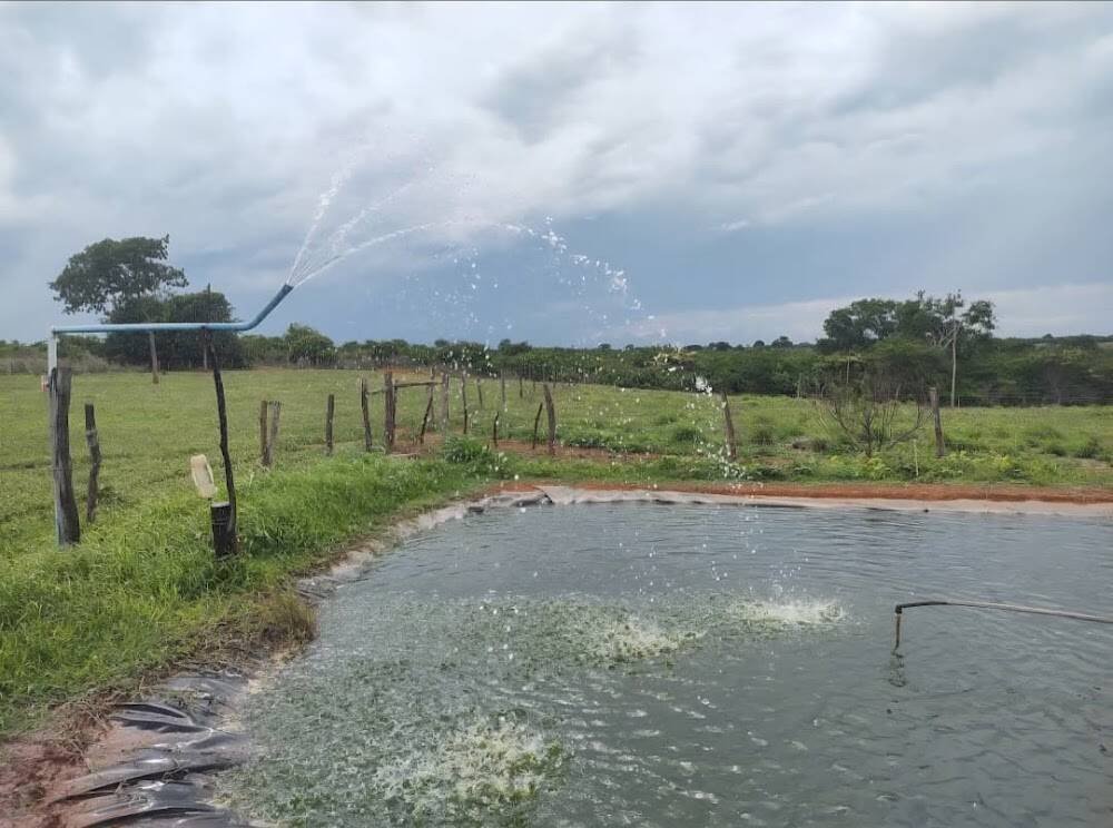 SITIO JN – Produtores rurais e sítios em Janaúba