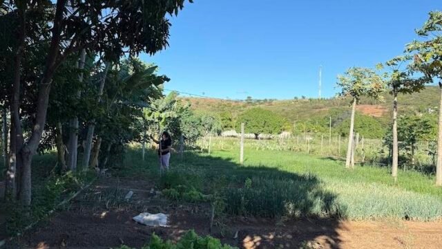 Sítio Sapoti em Janaúba
