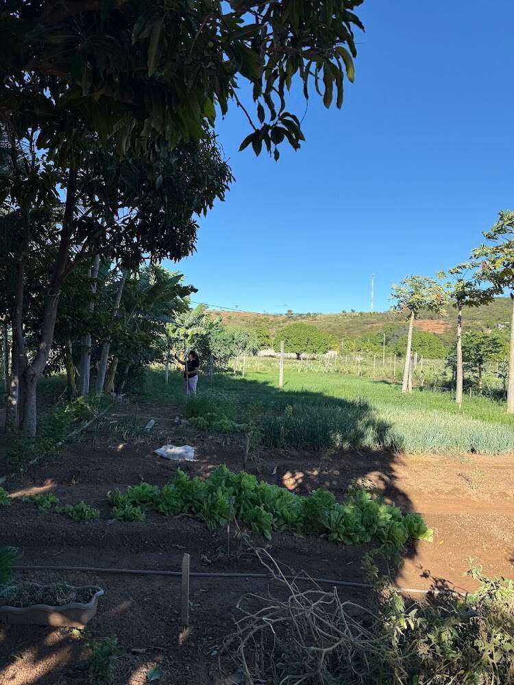 Sítio Sapoti – Produtores rurais e sítios em Janaúba