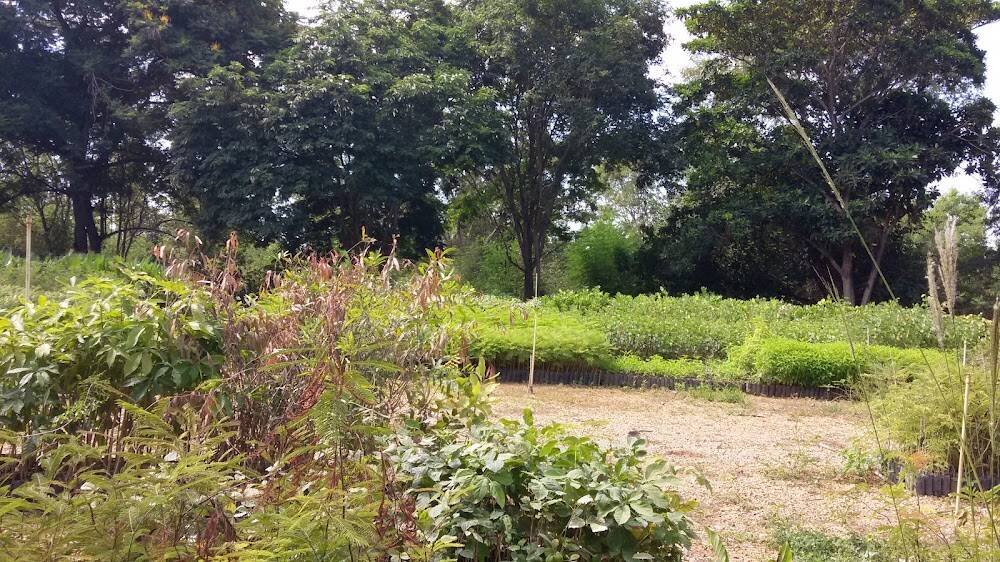 Viveiro IEF – Piscinas e Jardim em Janaúba